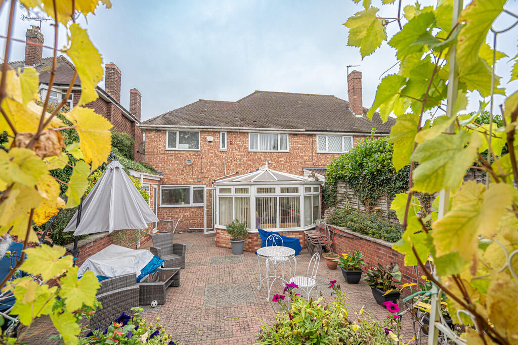 20251015-DSC06995...