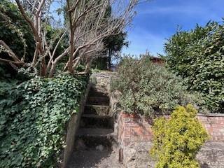 Garden6.jpg