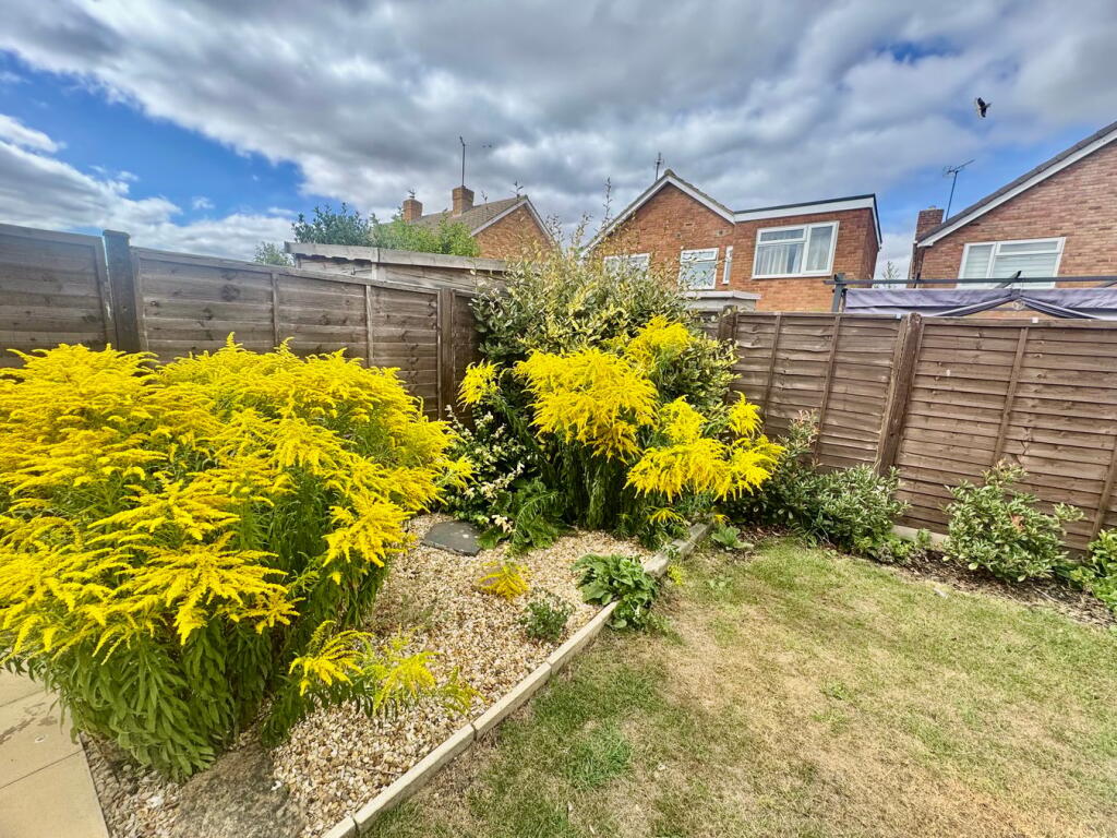 Established Shrubs
