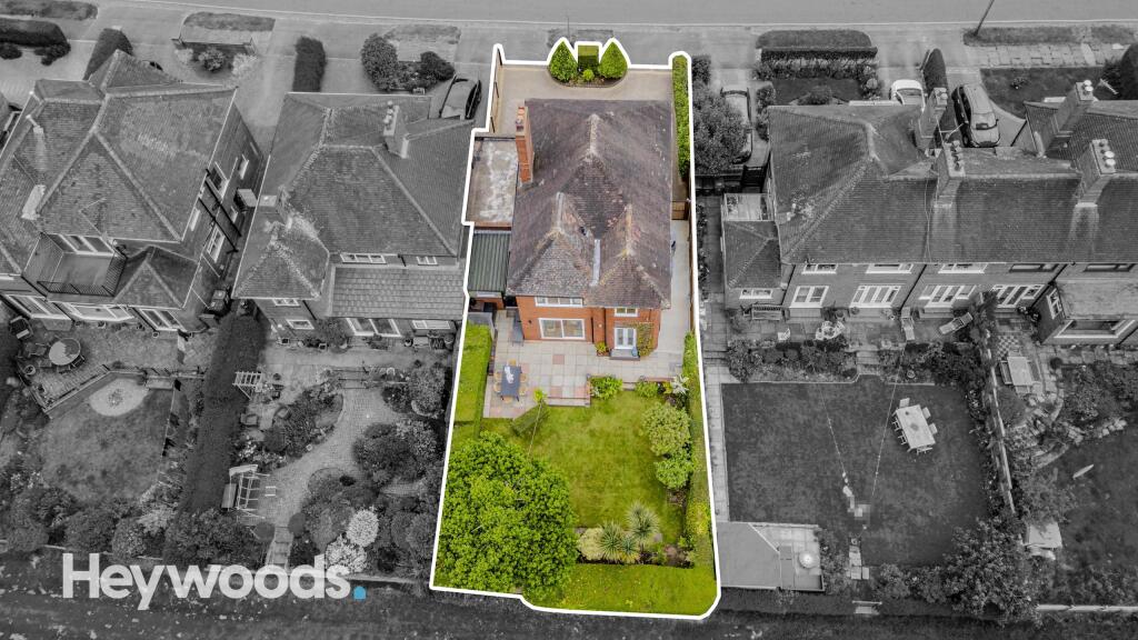 20240603-DJI_0037-Enhanced-SR - Copy