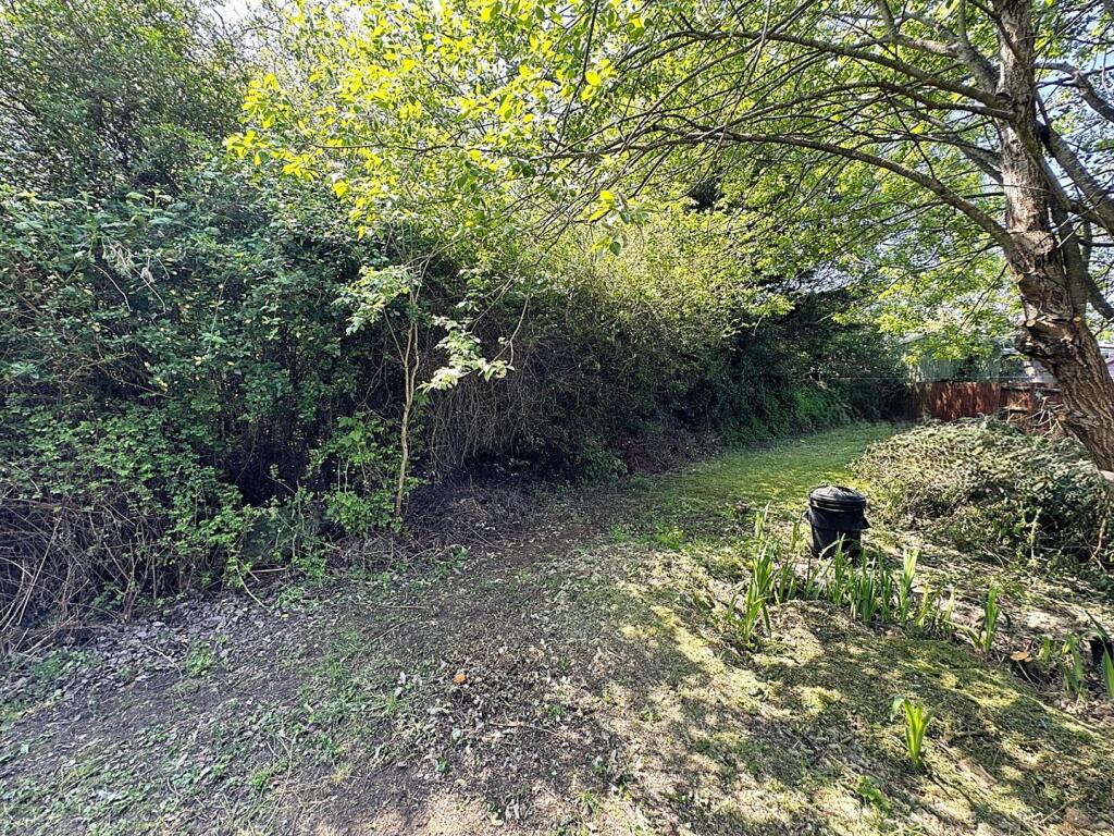 thumbnail_image2 (6).jpg