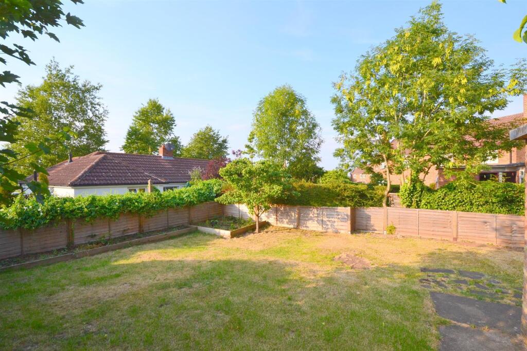 Back garden