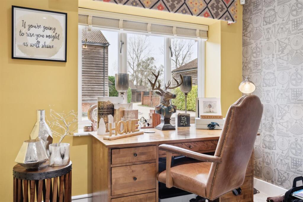 Study Area