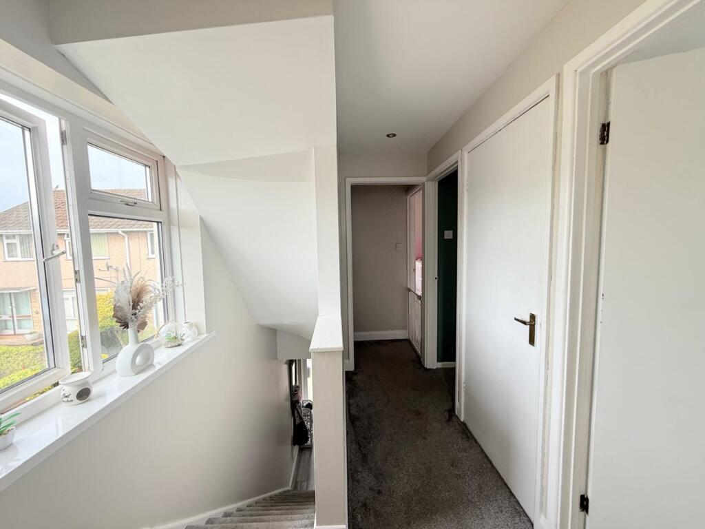 PHOTO-2025-07-01-12-06-28 16