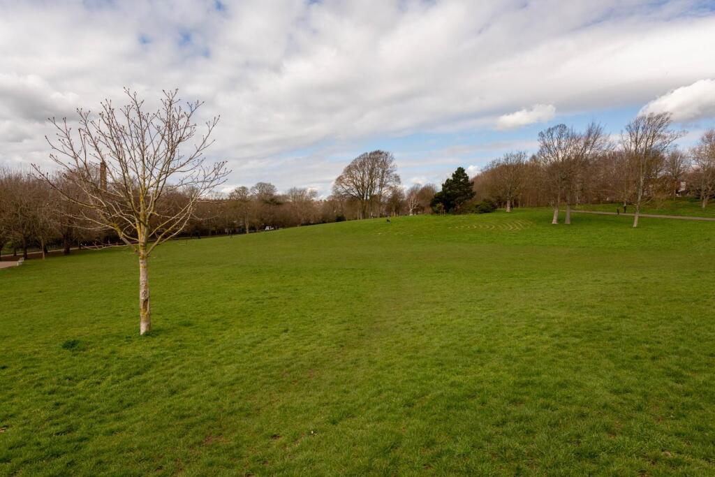 Hove Park-3.jpg