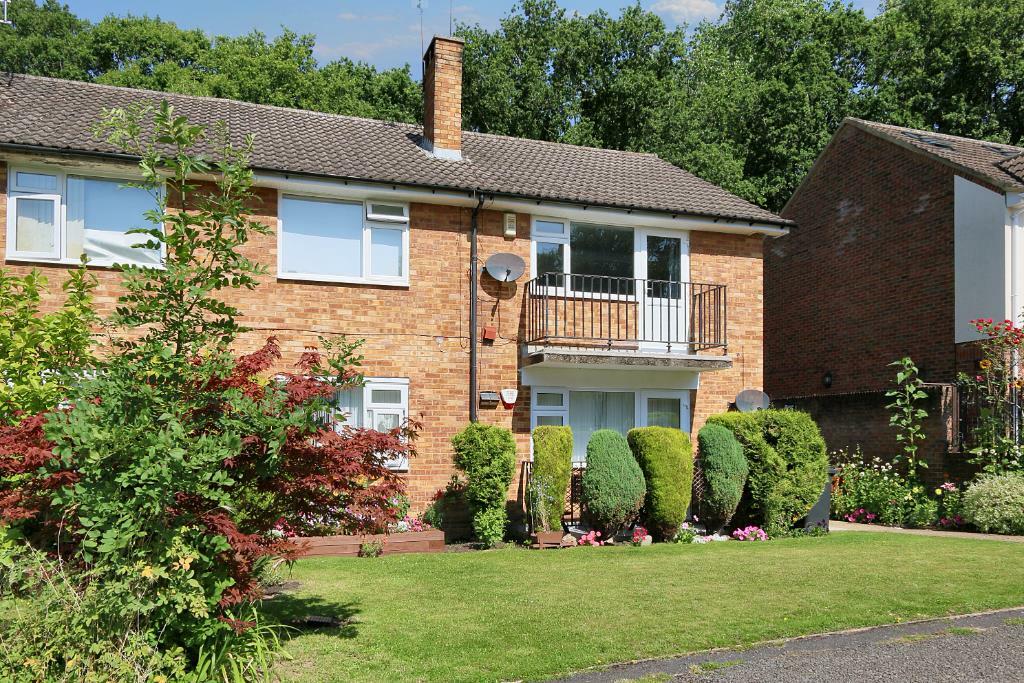 IMG_5333 (Portal Size).JPG