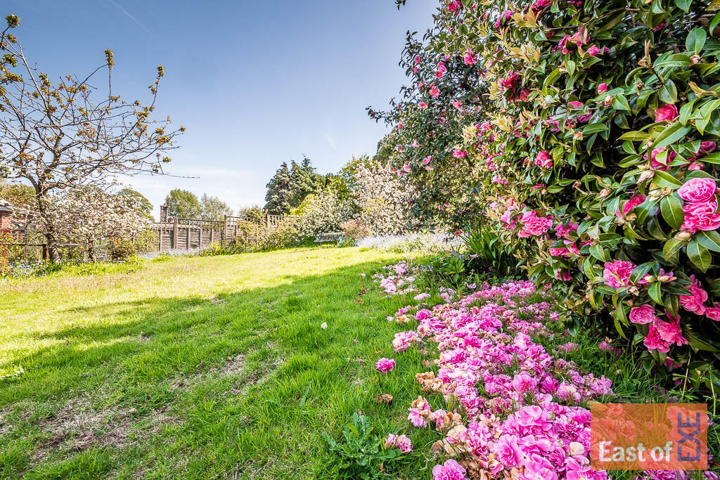 Winslade park ave...