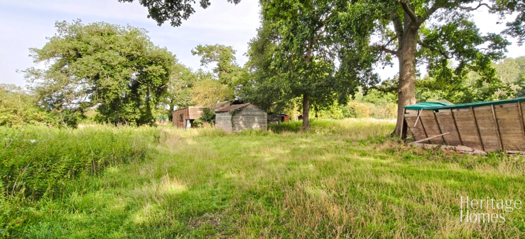 IMG20250813102617-fotor-2025081414838