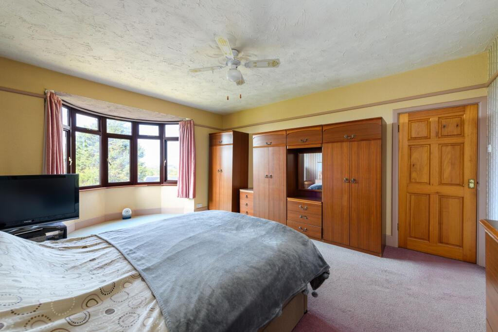 TEK HiRes 250731 060.jpeg