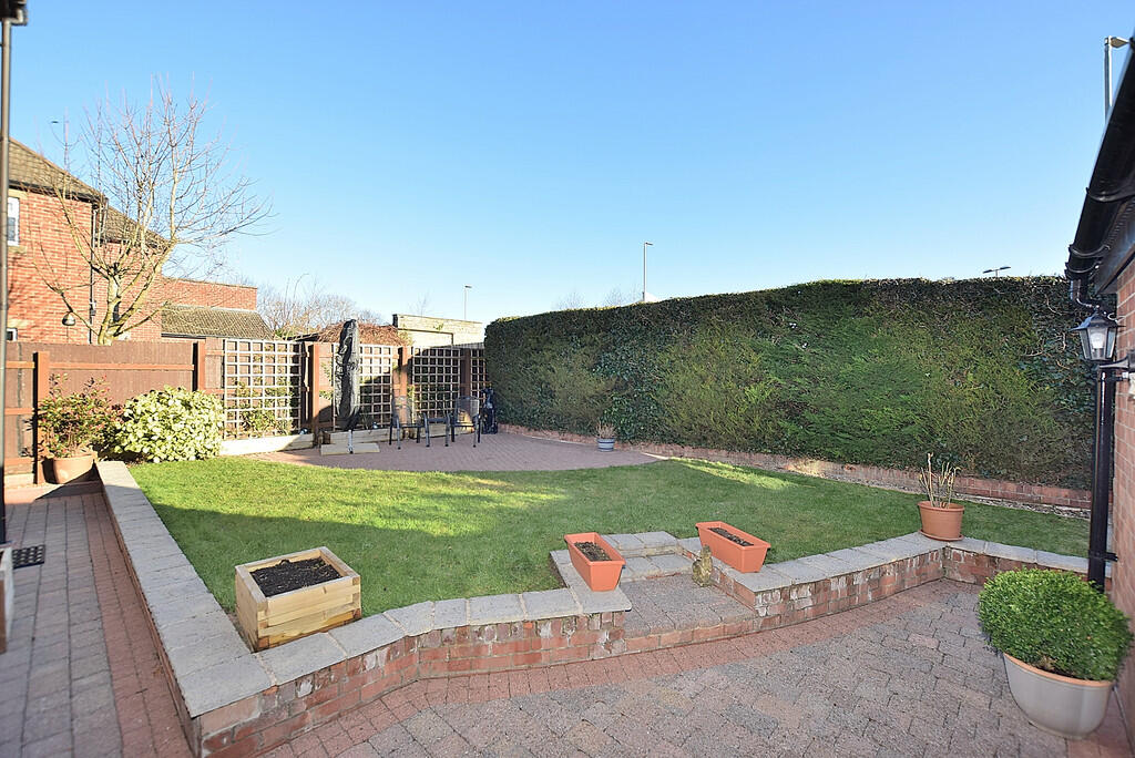 garden 1