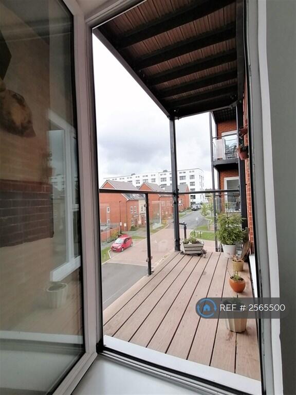 Deck_(1 Of 1)