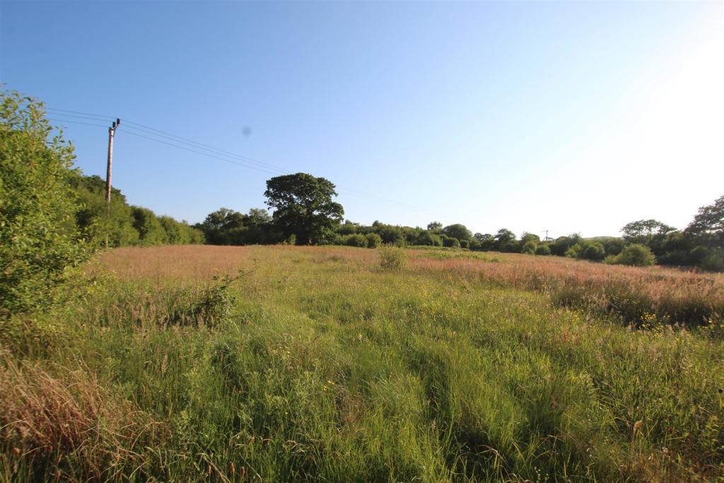 fields.JPG