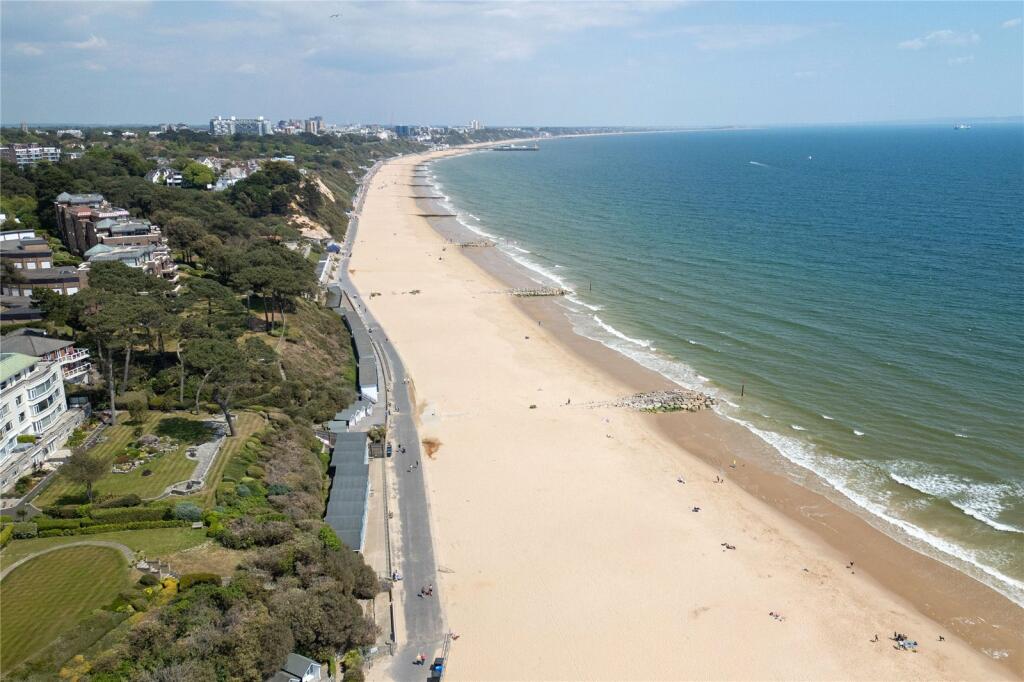 Drone footage of bea