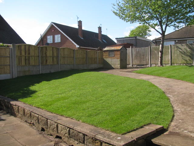 Back Garden