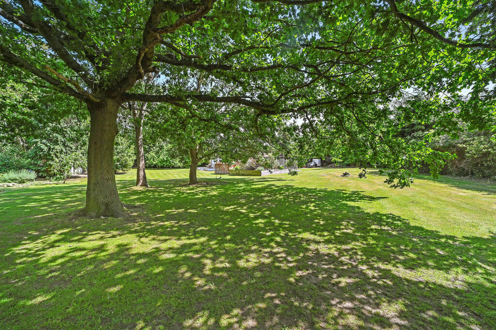 PT-FC(COL)-PondFa...