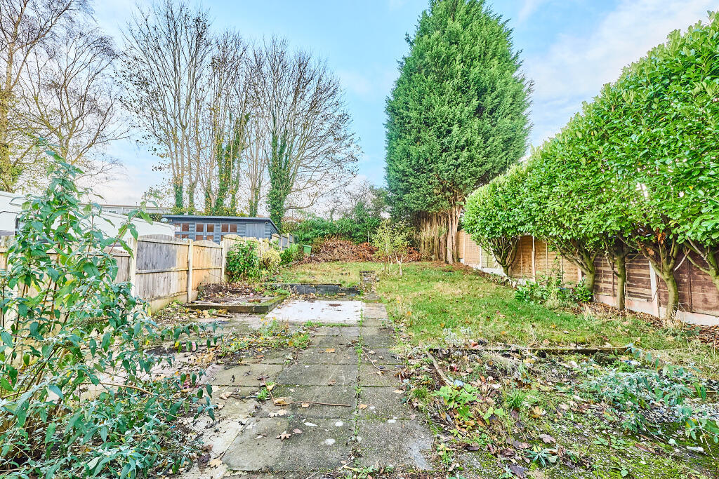 P1617016 T202511191611.jpg