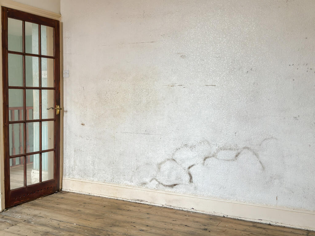 IMG 0019 T202507240732.jpg