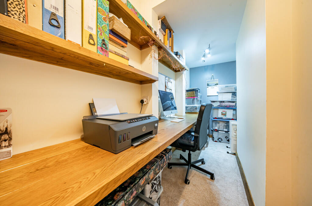 STUDY AREA