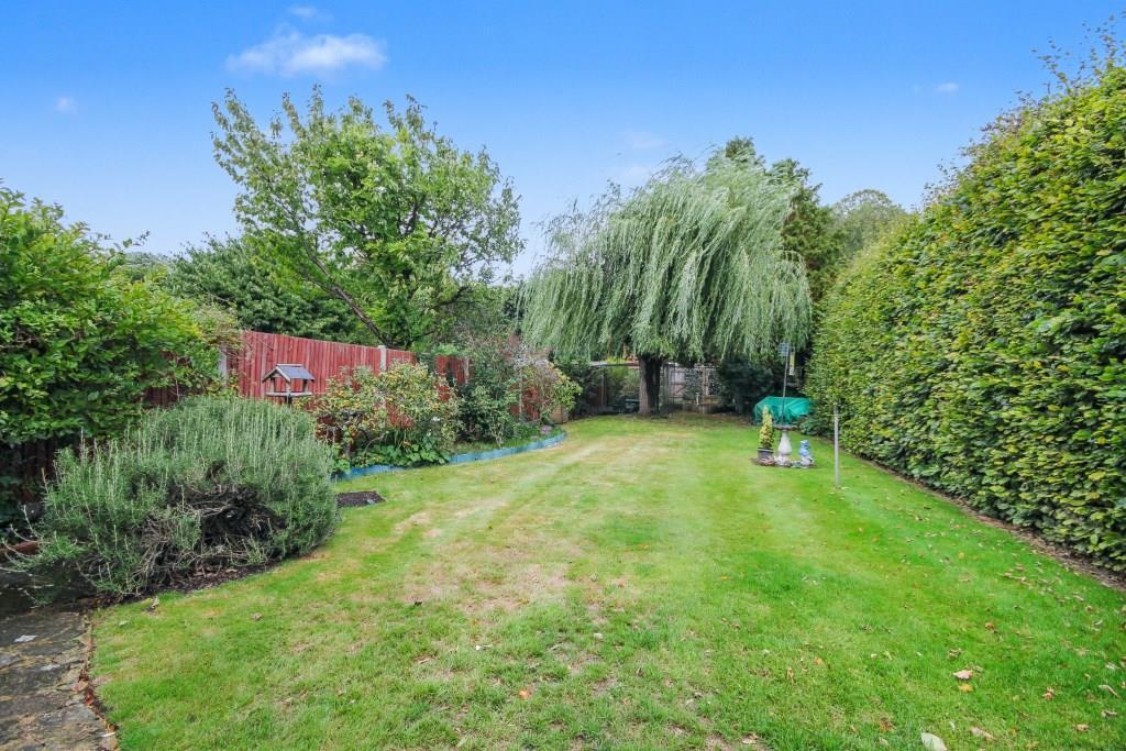 4 griffin rear II.JPG