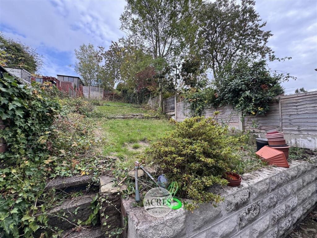 IMG_7733 (Large).jpg