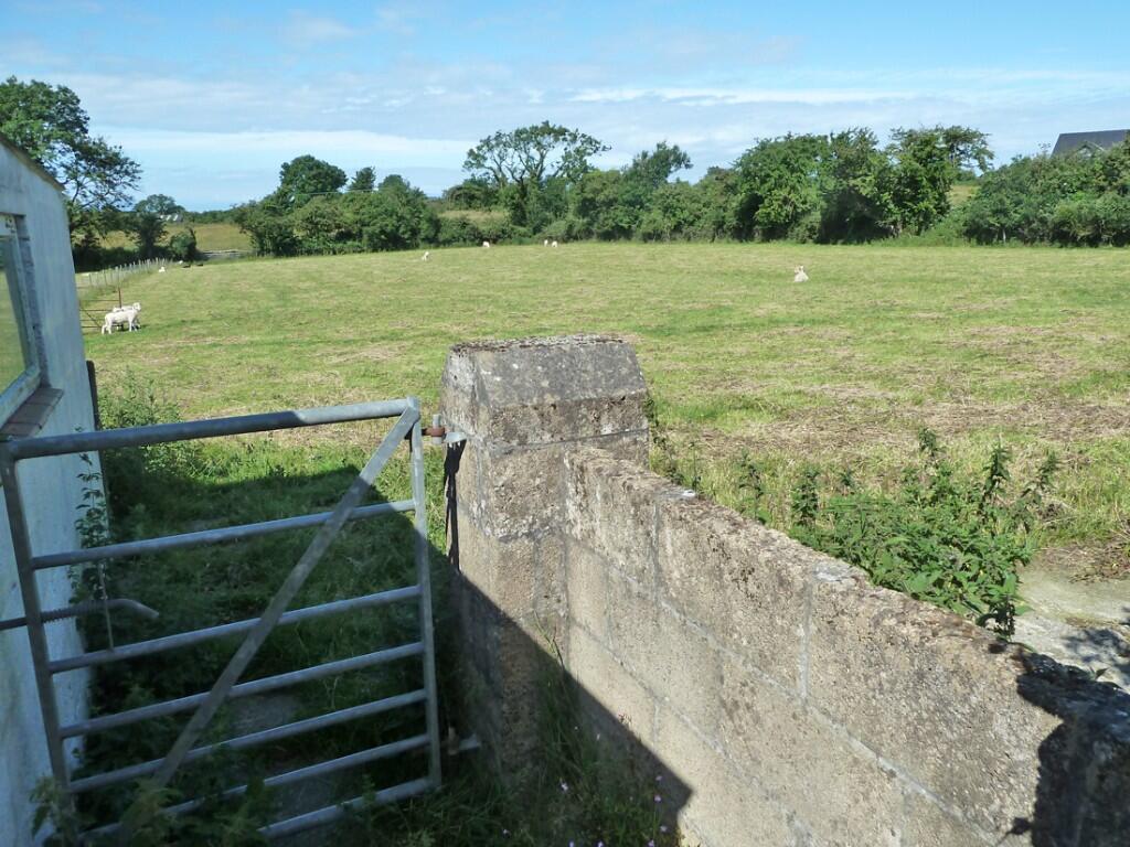Gate from garden