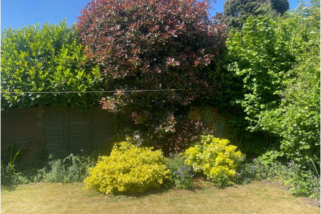Side Garden