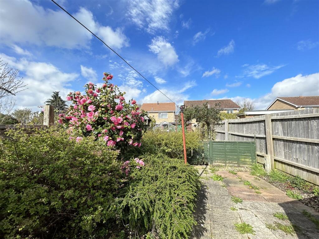 garden.jpeg