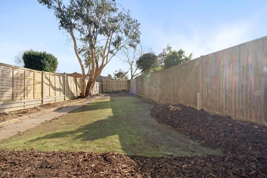 Back garden