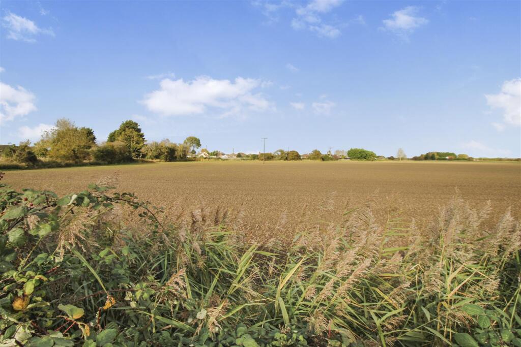 Field Views