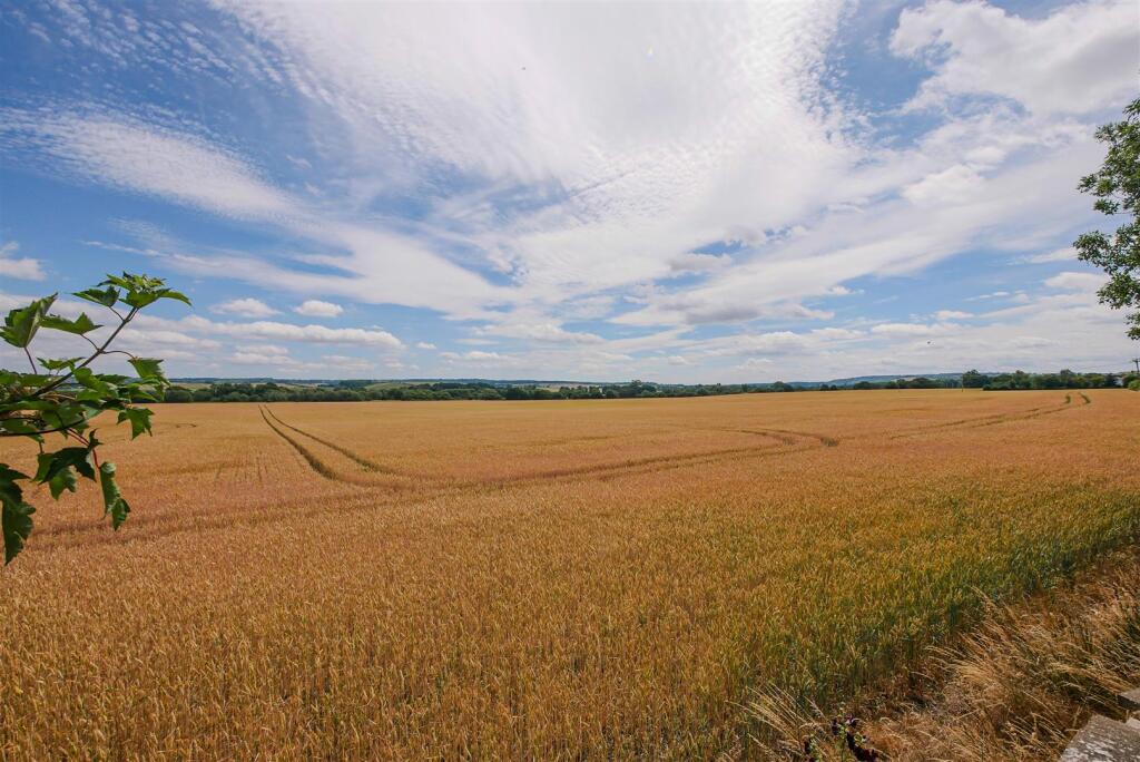 Fields Opposite