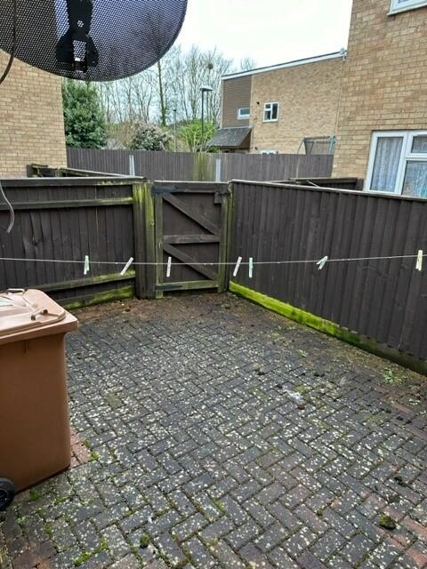 Courtyard Garden
