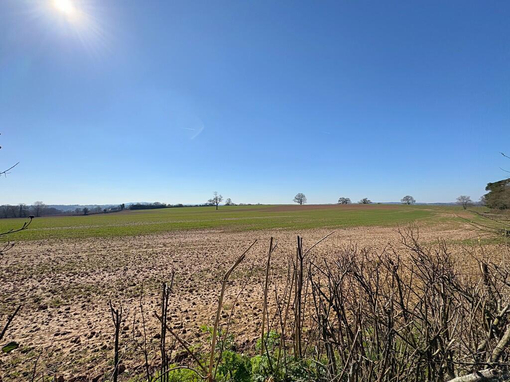 Views from rear g...