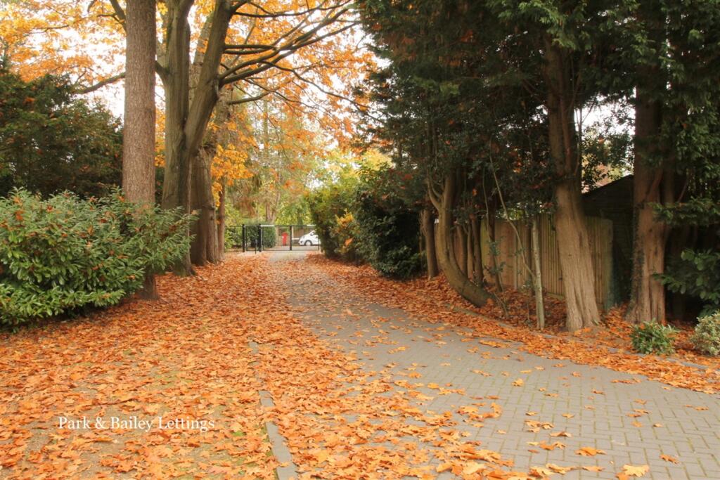 drive way