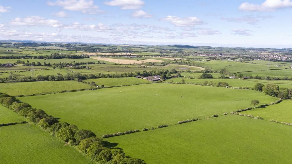 Aerial Shot