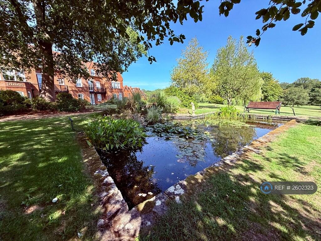 Pond