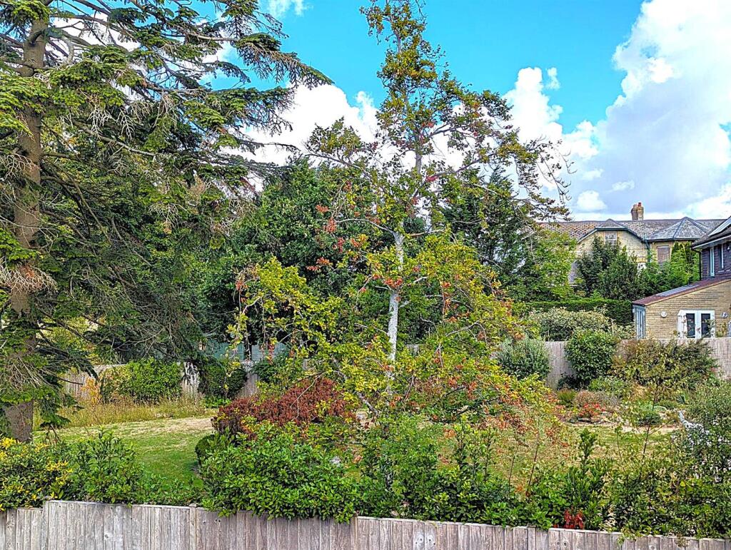 PXL_20250909_091659351.jpg