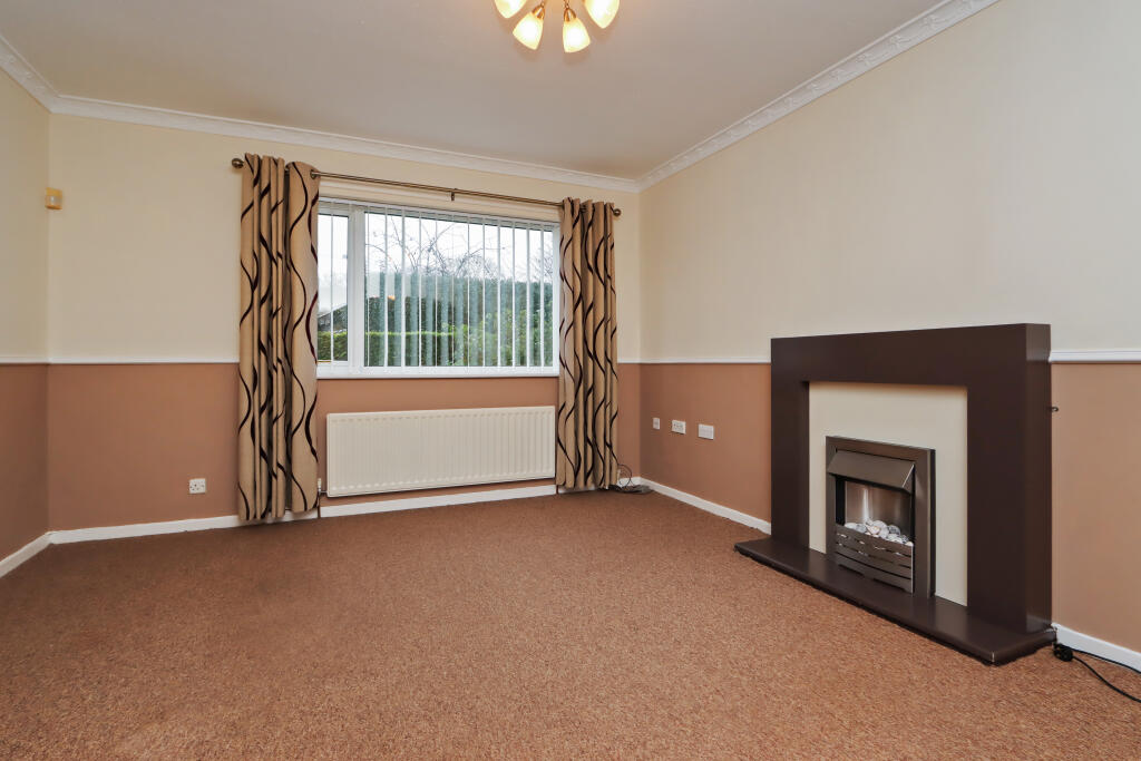 IMG 0727-38163575 T202511241738.jpg