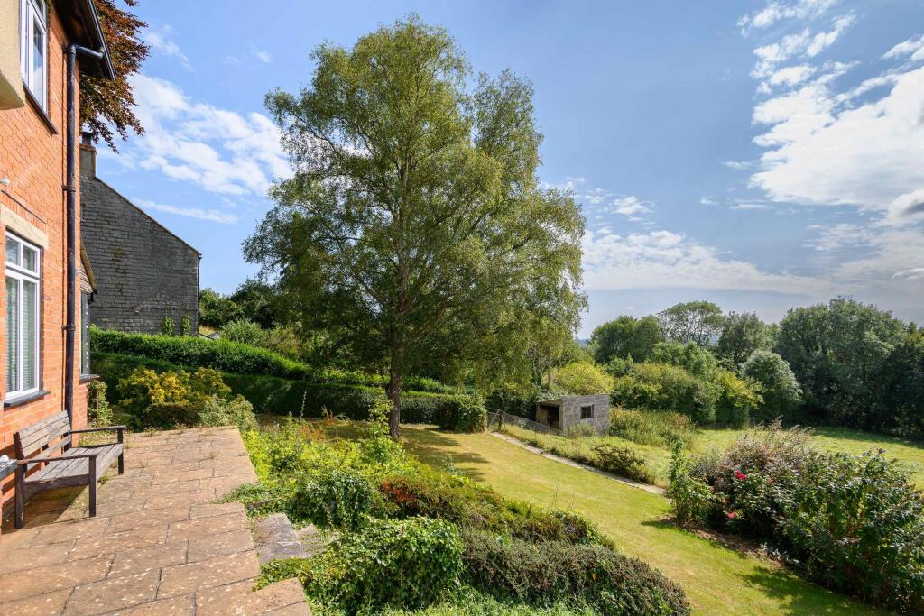 TEK HiRes 240827 042.jpeg