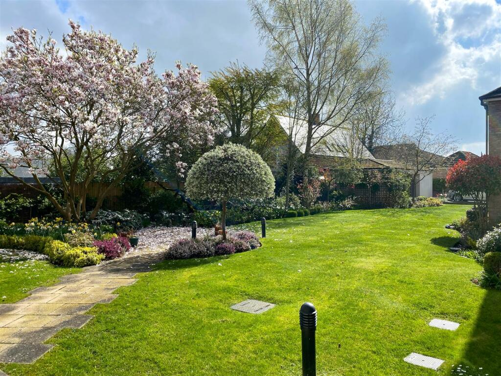 Communal Garden (Stock Photo)