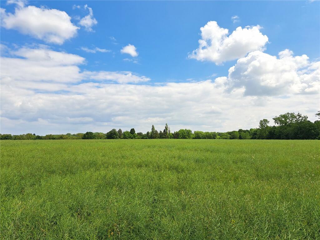 Land