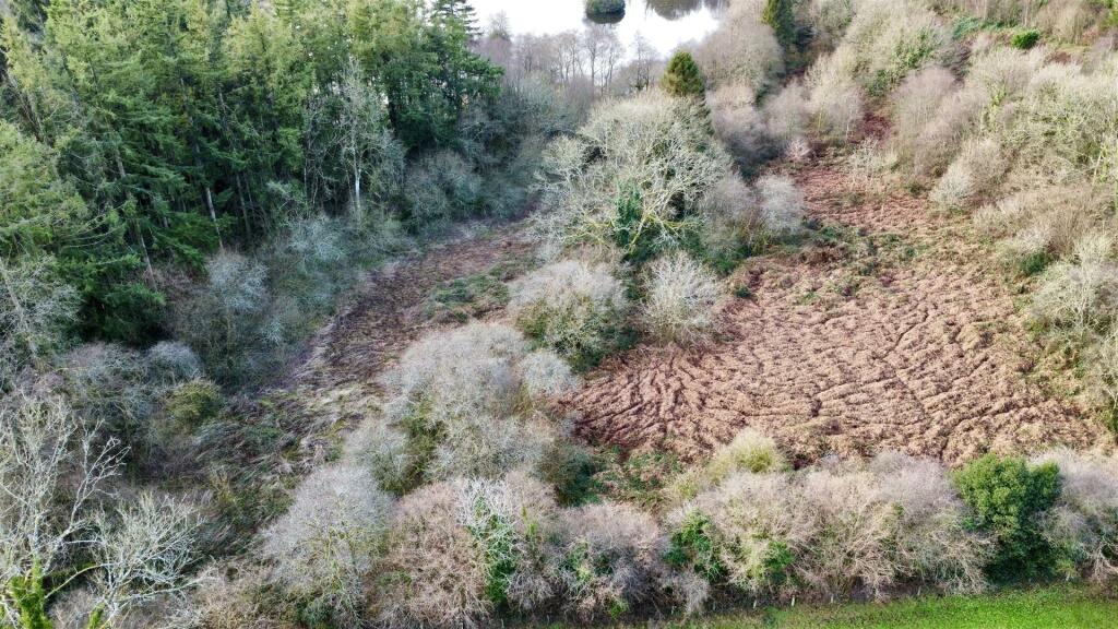 dji_fly_20241223_100912_52_1734948623589_photo_opt
