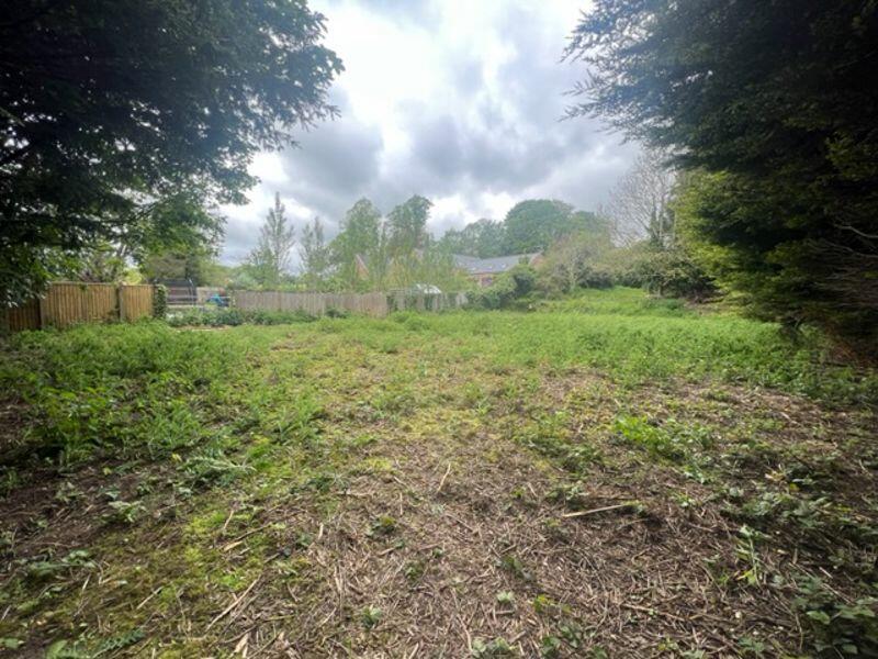 Upward view of lower plot