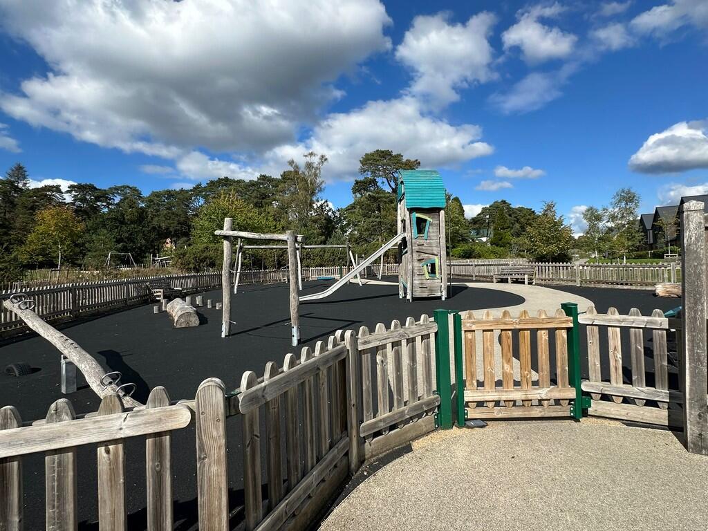 WhatsApp Image 20...