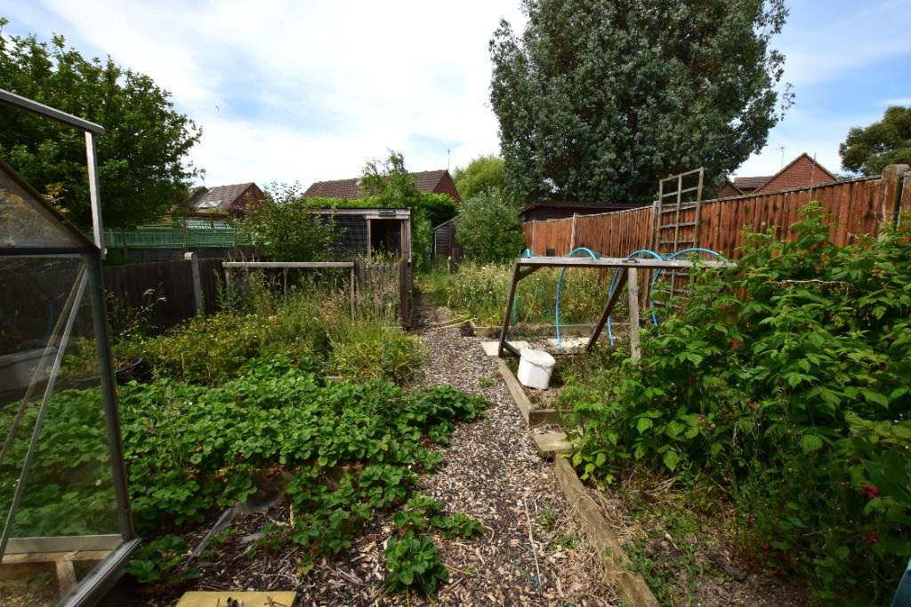 Vegetable patch