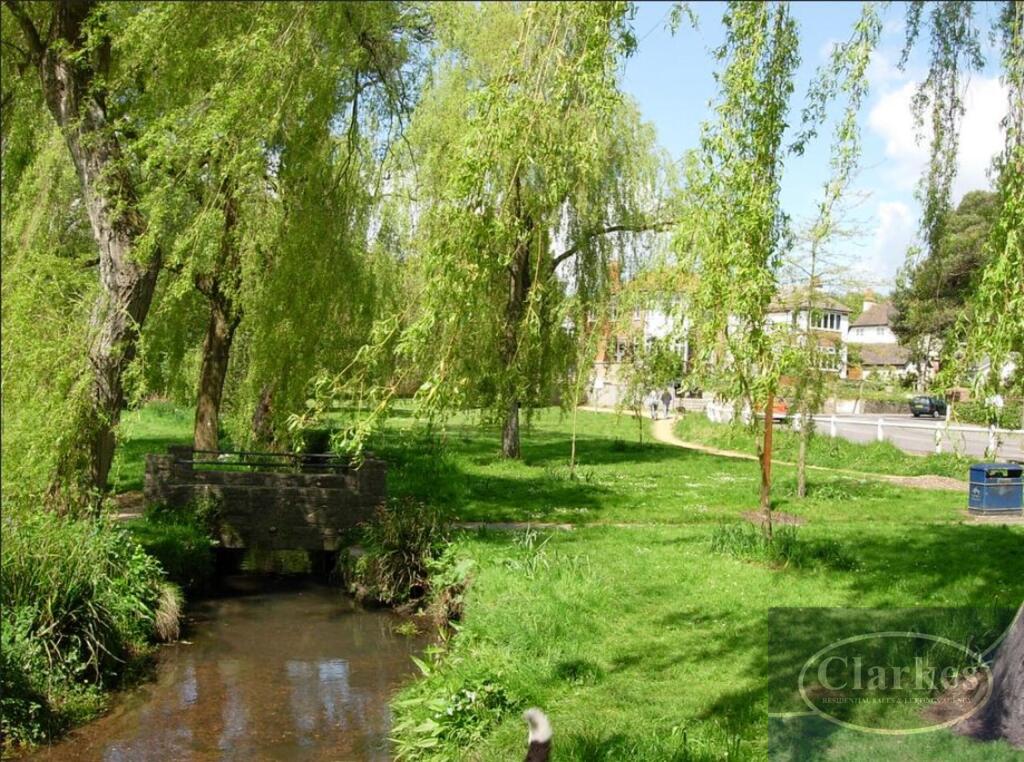 COY Pond.JPG