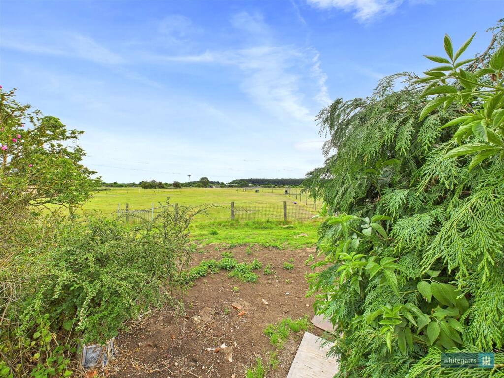 Field Views