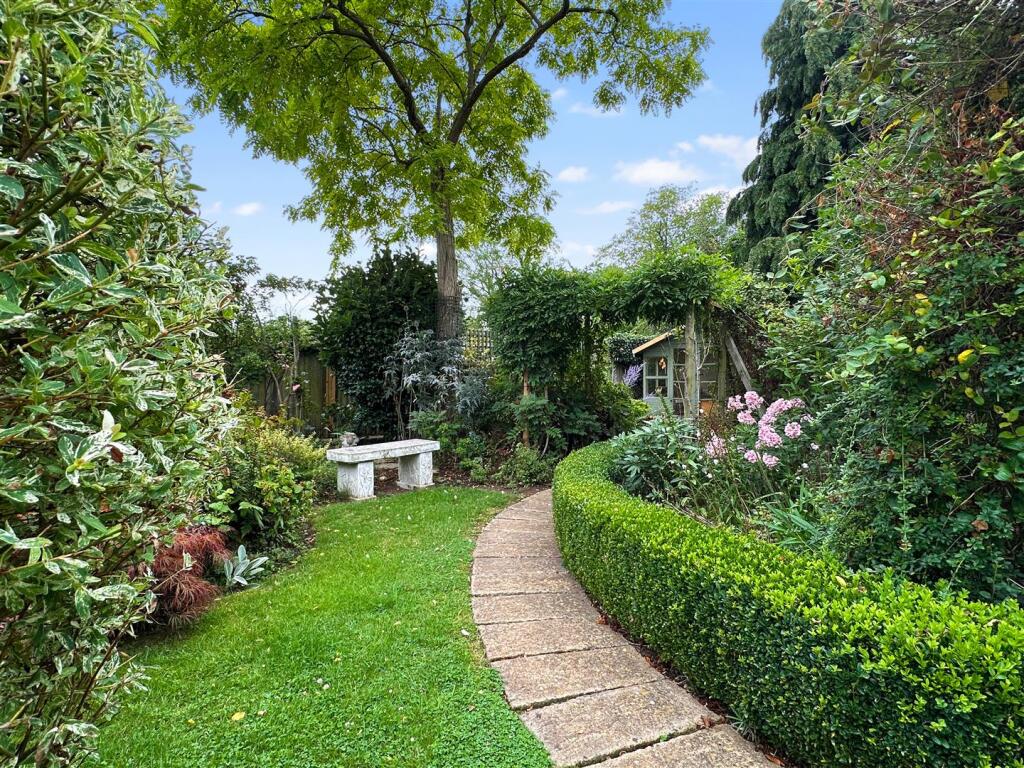 Established Garden 919