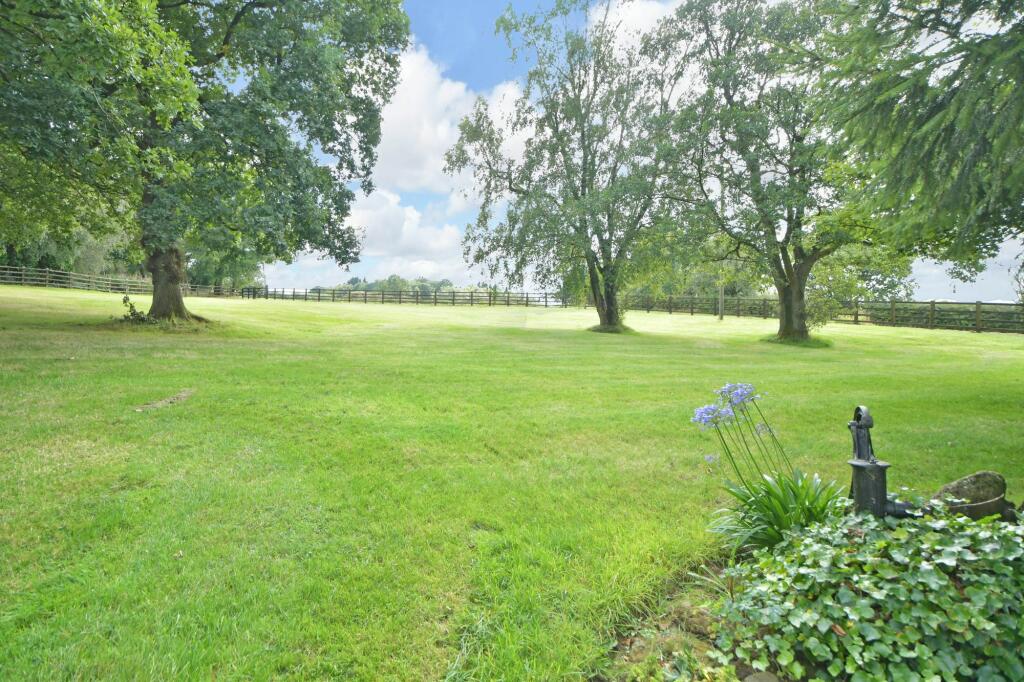 Rear garden