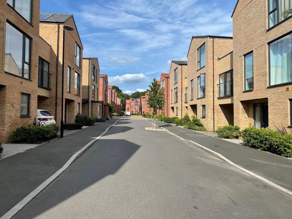 STREET.jpg