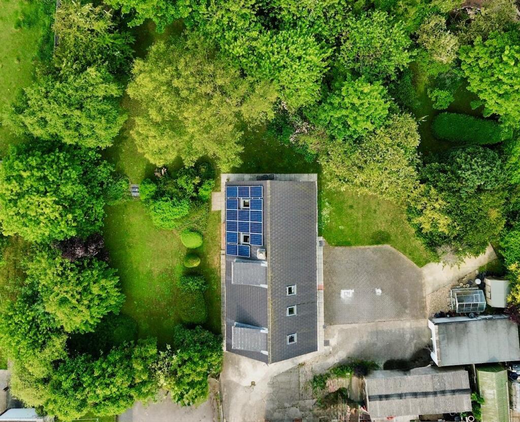dji_fly_20250531_090444_177_1748689906313_photo_op
